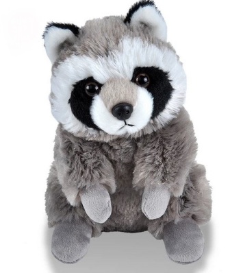 plush racoon