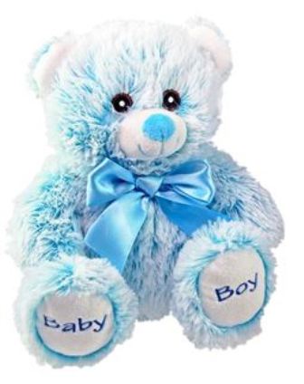 blue bear teddy